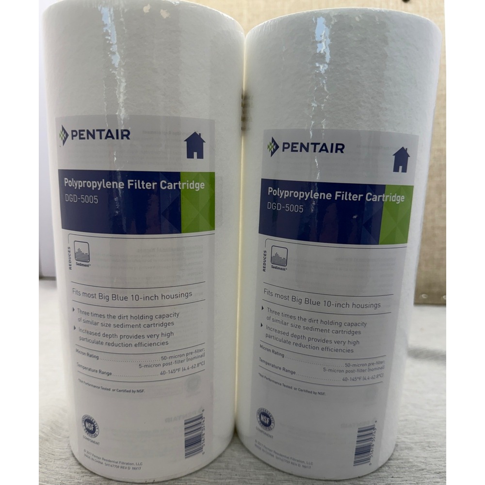 Pentair DGD-5005 Polypropylene Filter Cartridge Big Blue 10 Inch 2 Pack White